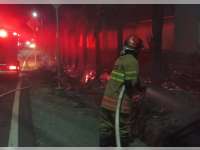 Diduga Akibat Puntung Rokok, Tumpukan Ranting Pohon di Depan SMPN 1 Temayang Hangus Terbakar