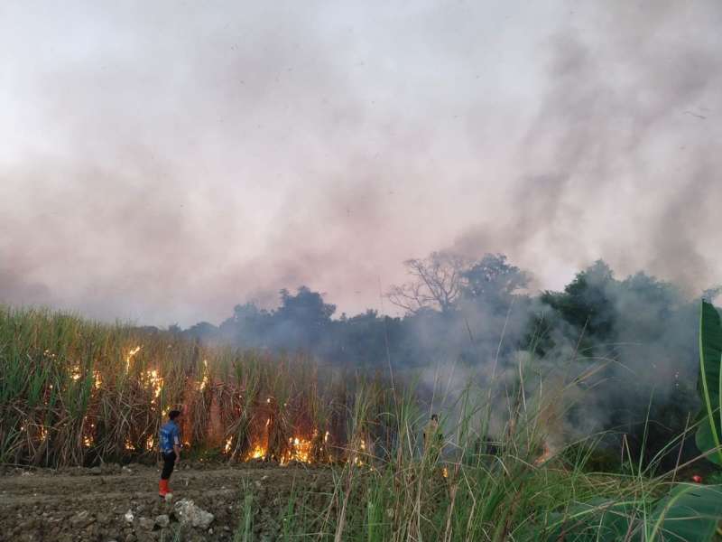 Dalam Sehari Terjadi Enam Kebakaran Lahan di Bojonegoro, Ini Daftarnya