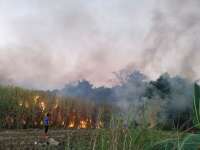 Dalam Sehari Terjadi Enam Kebakaran Lahan di Bojonegoro, Ini Daftarnya