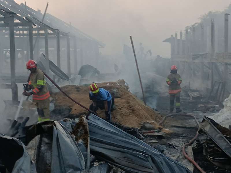Kandang Ayam Senilai Rp2 M di Malo, Bojonegoro Ludes Terbakar