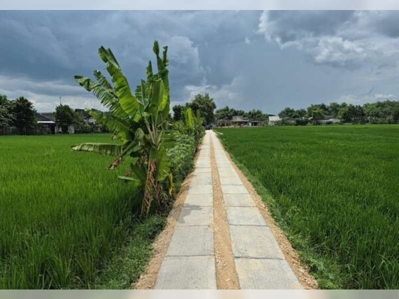 DKPP Bojonegoro Targetkan Pembangunan 27.500 Meter Jalan Usaha Tani untuk Dorong Efisiensi Pertanian