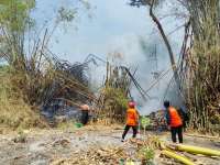 Pembakaran Sampah Diduga Pemicu Kebakaran Lahan di Mojokampung, Gudang Mebel Ikut Hangus
