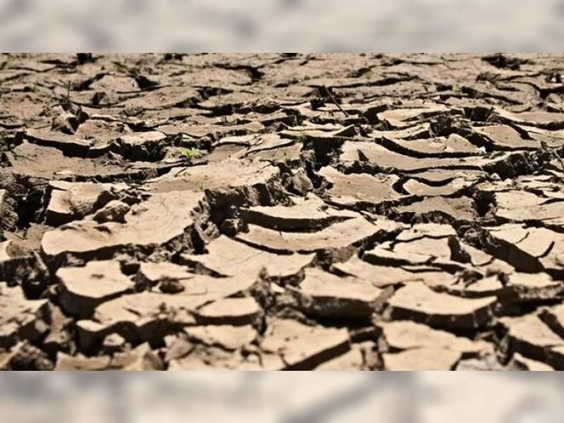 24 Daerah di Jawa Timur Darurat Kekeringan