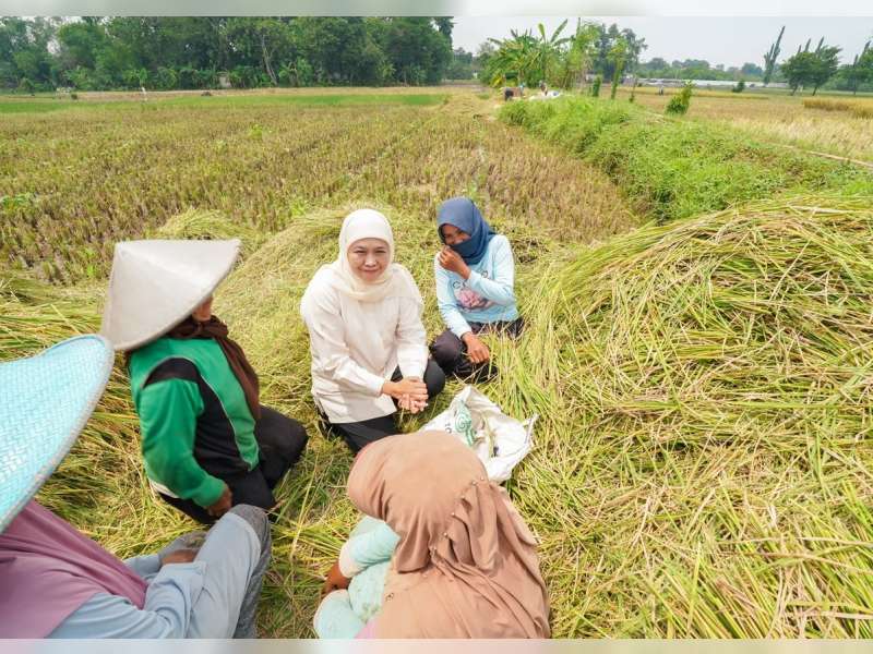Peringati Hari Pangan Sedunia 2026, Gubernur Khofifah Dorong Inovasi dan Hilirisasi Pertanian Jatim